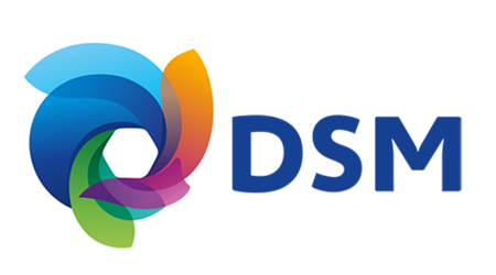 DSM